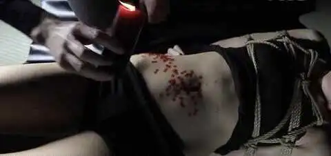西檬之家-字母圈管教入门：BDSM新人的安全指南