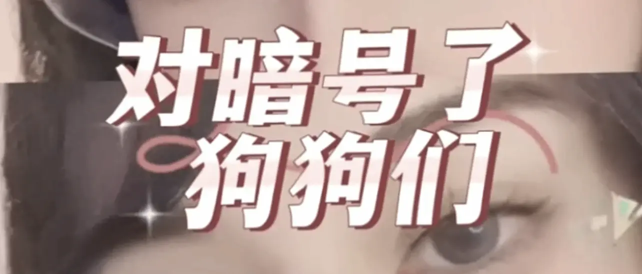 西檬之家-字母圈BDSM新人入圈指南