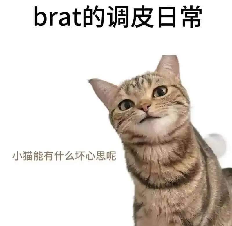 西檬之家-Dirty talk是什么？新人入圈指南