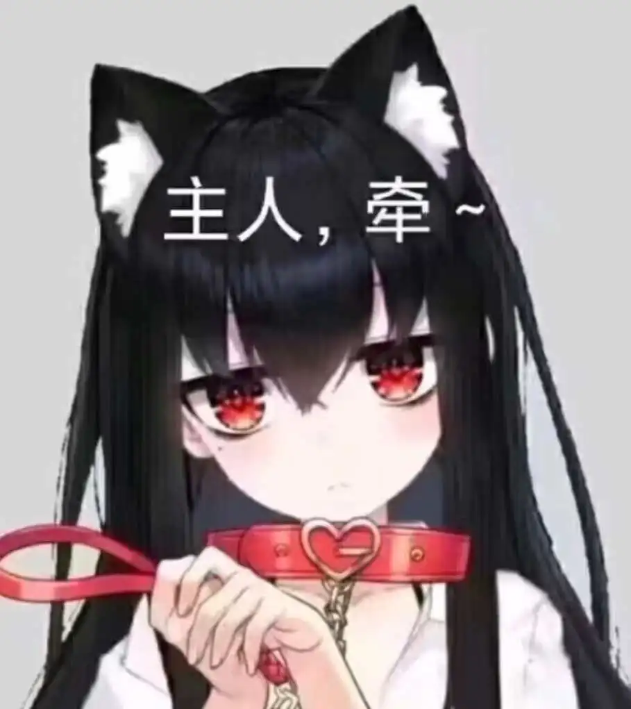 【西檬之家】字母圈新人指南：BDSM与K9犬系角色解析