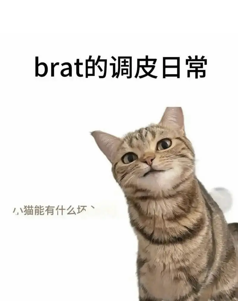 【西檬之家】BDSM新人指南：S倾向解析与安全入圈路径