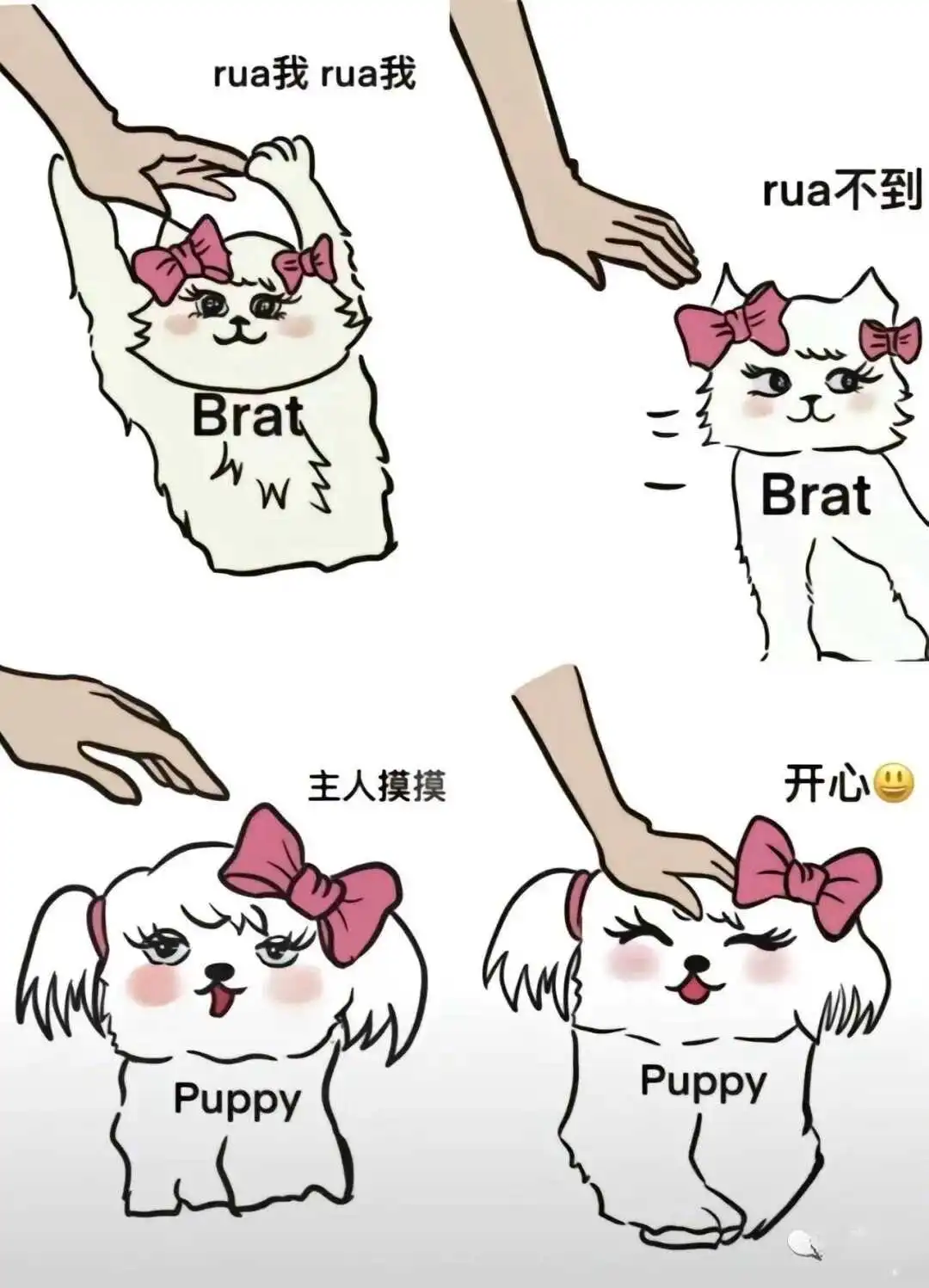 【西檬之家】圣水在字母圈中是什么意思？新人必读科普