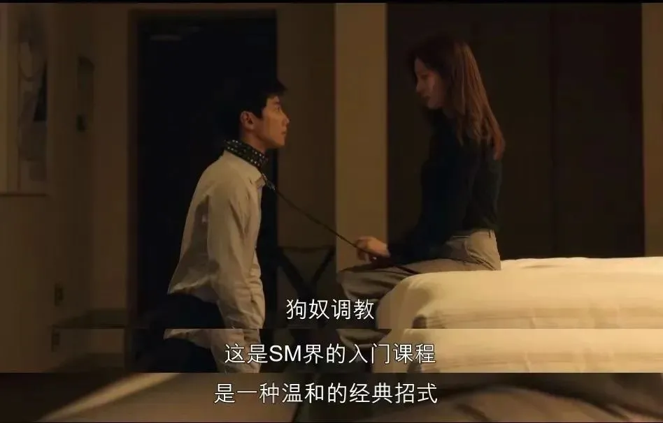 【西檬之家】字母圈新人入圈指南：读懂BDSM的核心与术语