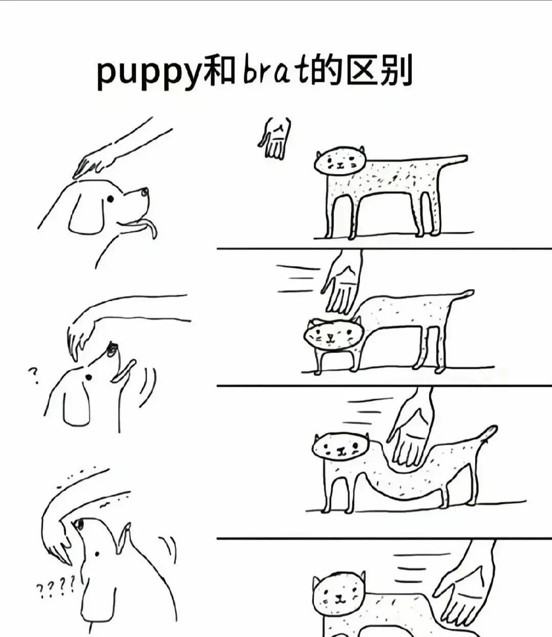 【西檬之家】小圈是什么？BDSM字母圈新人入圈必读指南