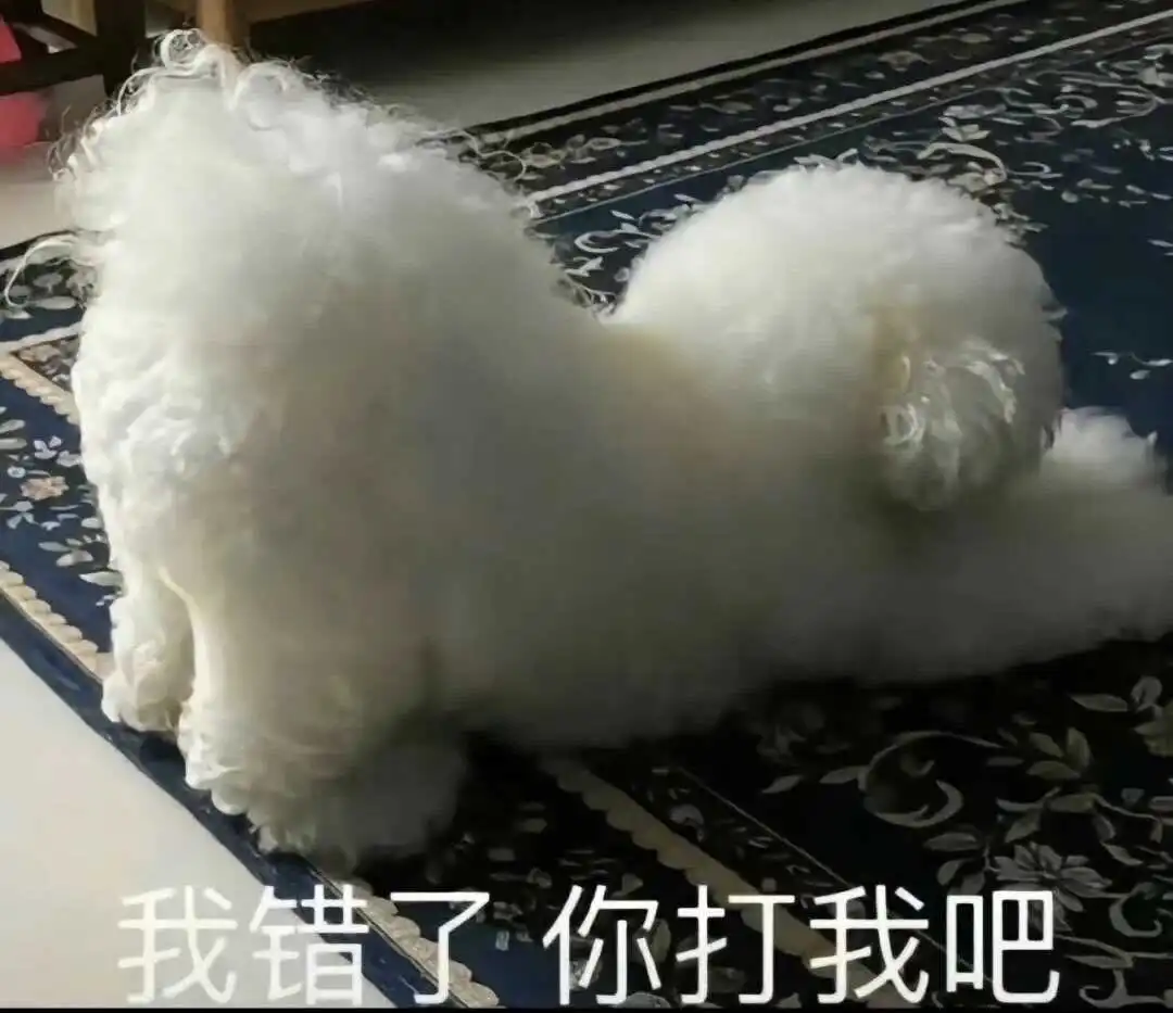 西檬之家SM亚文化新人指南