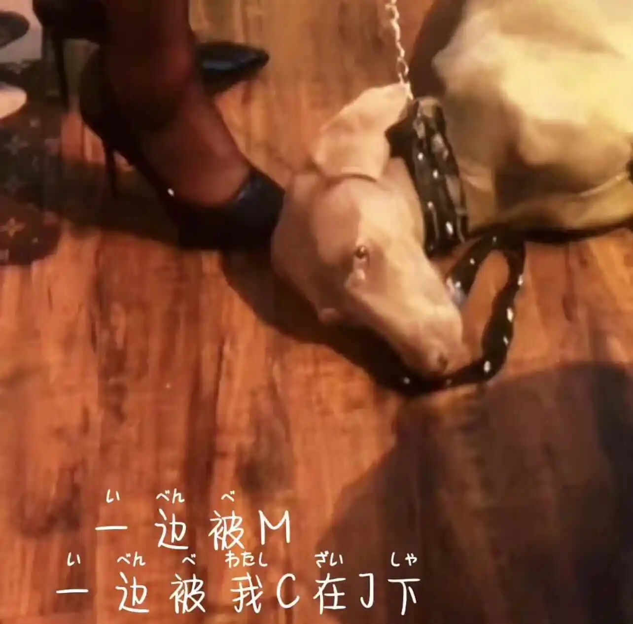 西檬之家-BDSM核心术语解析